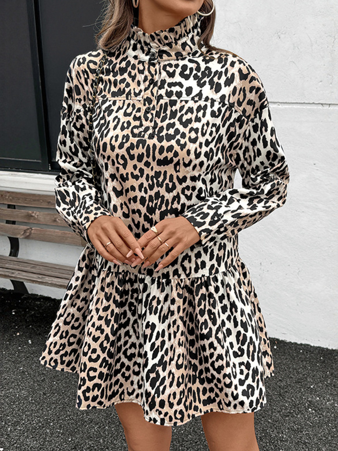 Leopard Print Long Sleeve Mock Neck Mini Dress